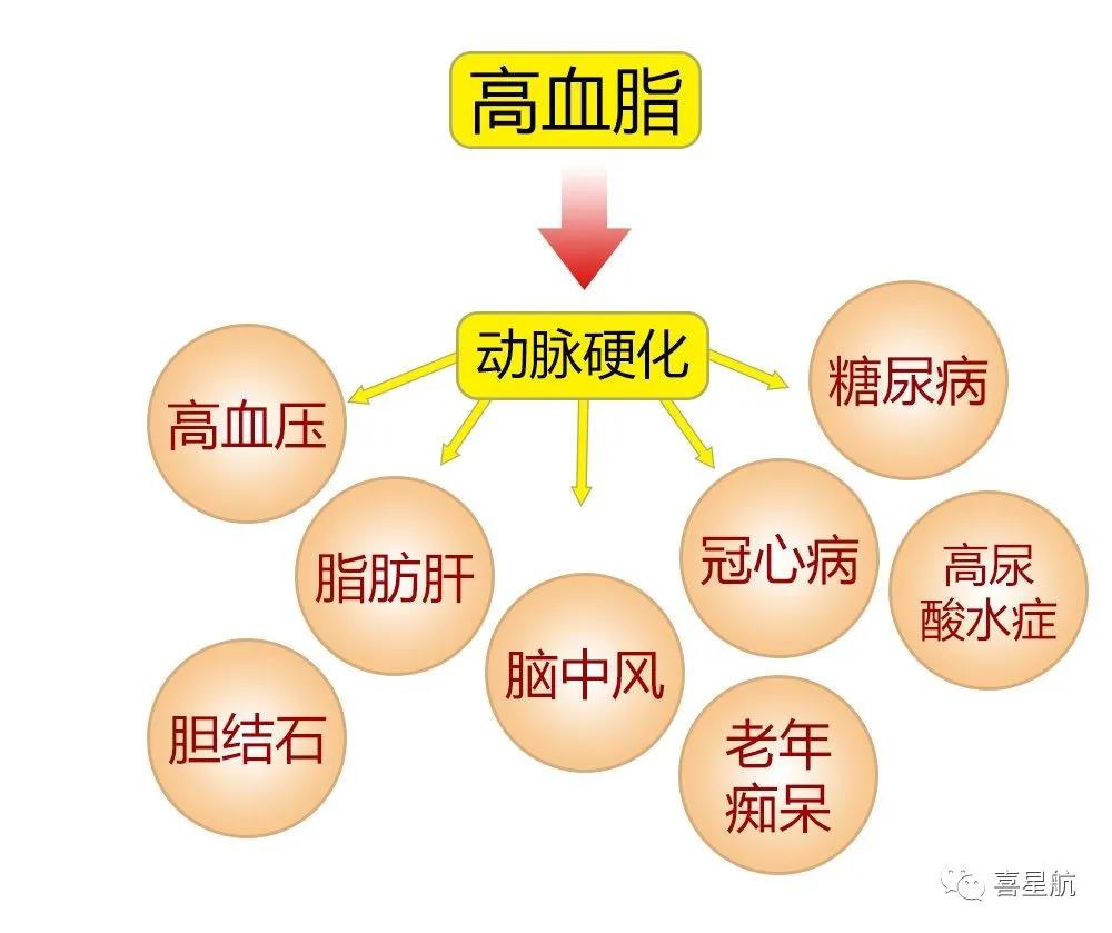 關(guān)于高血壓、糖尿病患者，9月1日起城鄉(xiāng)居民醫(yī)保門診用藥保(圖3)
